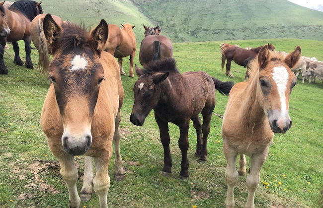 Casa Rural l'Era de Ferro - Photo 43