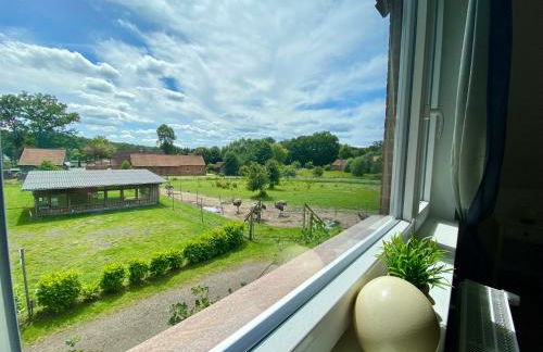 Ferienwohnung Straußenblick Dachgeschoss - keine Monteure - Foto 15