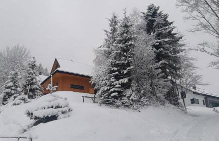 Domki Krynica - Foto 60