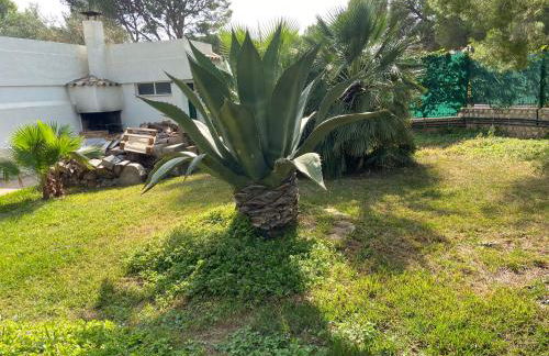 La Mandioca - Foto 31