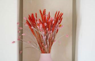 Lanime - Bed in Spa - Foto 7