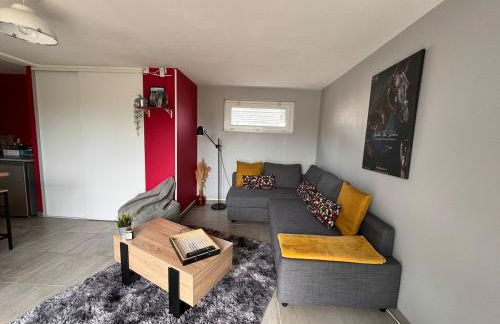 Gîte dans un petit haras - Foto 62