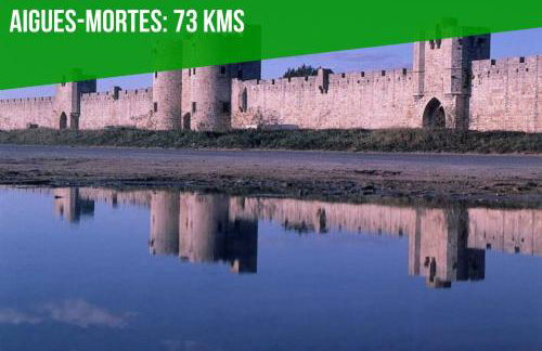 La Bastideto - Piscine - AC CLim - Alpilles - Foto 51