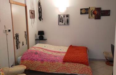 STUDIO ST GREGOIRE Au Pied des Vosges et Vignoble ! - Foto 3