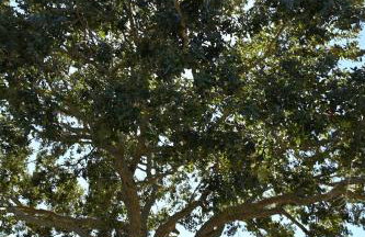 NW Bradenton Home - Less than 5 mi from IMG & AMI! - Foto 21