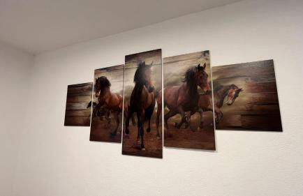 Ranchhouse Smoker- Westernstable - Horse - Foto 13