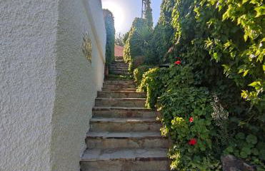 Cuevas La Cocinillas - Foto 58