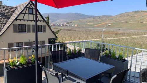 Gîte Les terrasses du Mambourg à Kaysersberg-Vignoble - Photo 2