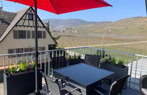 Gîte Les terrasses du Mambourg à Kaysersberg-Vignoble - Foto 2