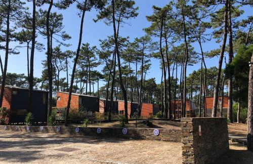 Bungalow B2 - Nature, Beach & River - Photo 34