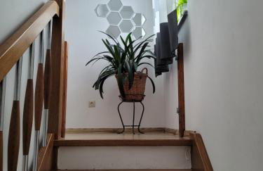 Agroturystyka Kaszuby Villagehome - Foto 25