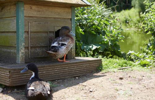 The Hayloft at Moor Farm - Foto 33