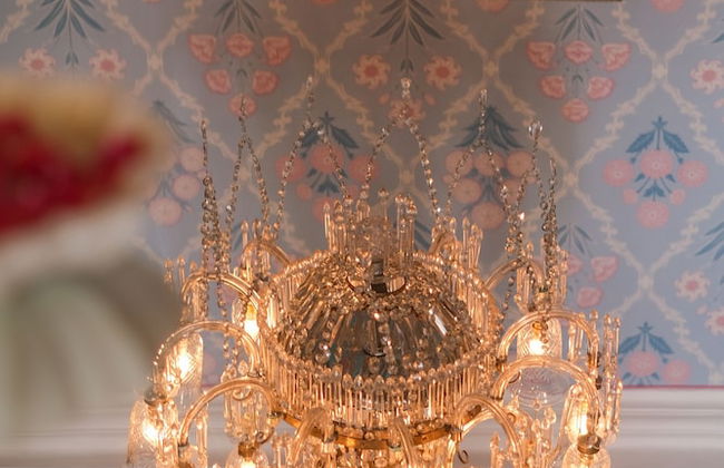 Rajmahal Palace RAAS - Foto 50