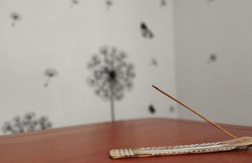 Alojamiento Gorga-Ordesa, en Boltaña - Photo 7