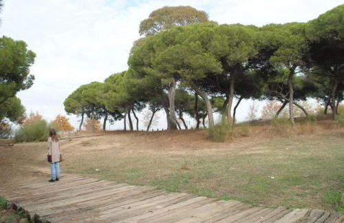 Apartamento Calle Fundadores - Foto 42