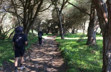 Your Vintage Townhouse - Foto 15