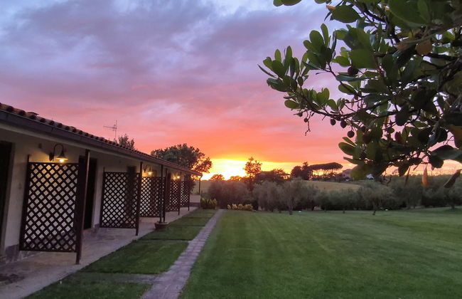 Agriturismo Il Migliarino - Foto 13