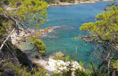 La Ultima Casa Masboquera - Foto 62