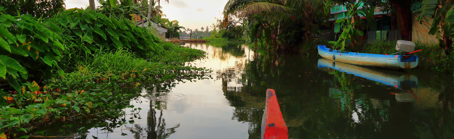Tour dei canali di Alleppey