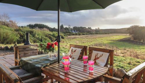 Red Squirrel - Foto 2