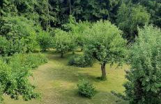 Zbójnicka Chata - Foto 46