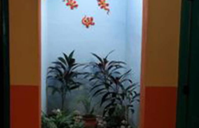 Tranquil Tropical Oasis in the Historic Center - Foto 14