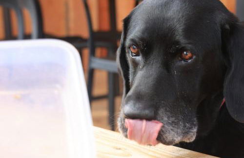 La Casita - Boutique Retreat Barcelona Coast Sea View - Foto 32