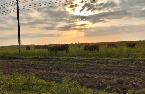 Casinha da Cabra, Casas do Poente, Rogil, Aljezur - Photo 30