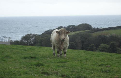 Bay View Cottage - Foto 48