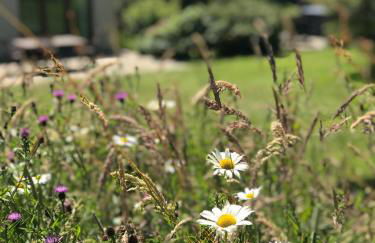 Clotted Cream Cottage Countryside calm Close to beach Dartmouth Dog Friendly - Foto 50