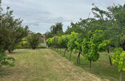 Lovely Holiday Home in Loire for 10 - Photo 16