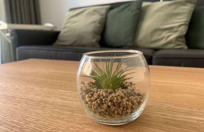 Sea air Modern Retreat - Foto 13