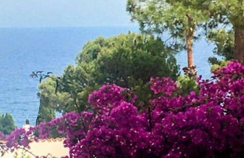 House beach in Cala Salions - Foto 2