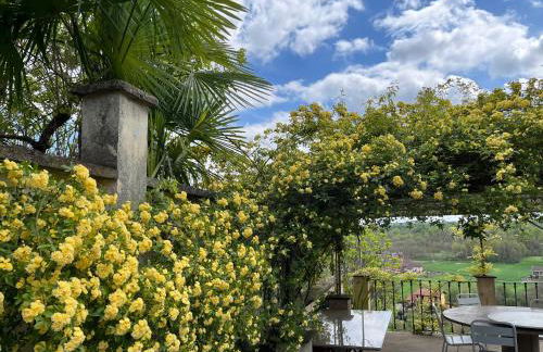 Villino Ca' Bianca, vicino ad Alba, NO ZANZARE, accessibile e con sollevatori aerei - Foto 10