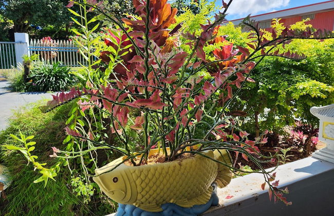 Ocean Heart Hotel - Photo 24