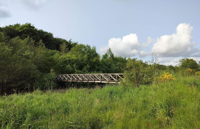 Spacious Holiday Home in Ansager near Lake - Foto 4