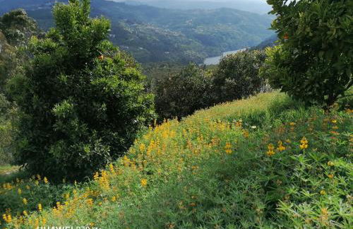 Casa Douro Terrace - Foto 58