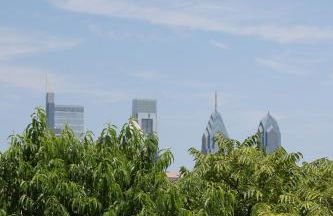 Peaceful Zen Getaway in the City - Foto 22