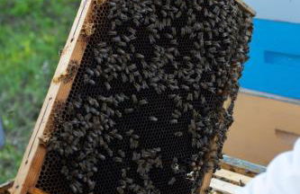 Agriturismo da Natalino - Foto 69