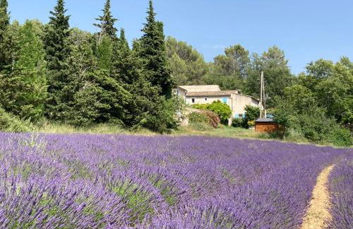 Maison au Colorado Provençal - Foto 1