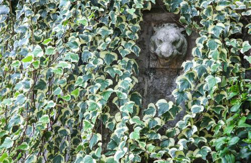 Apartman Lori - Photo 12