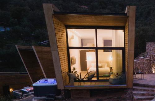 Five Olive Dream Trip - Photo 3