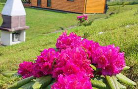 DOMKI KOLOROWE - Foto 53