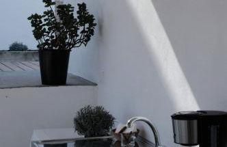 Azóia 10 - Hostel & Casas de Campo - Foto 79