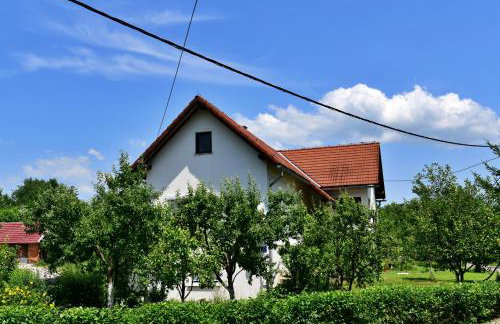 Apartment Stjepan - Foto 5