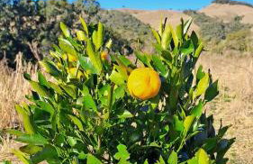 Pousada Refúgio Ressignificar - Foto 19