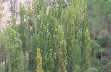 Casa Rural Lago Bolarque - Foto 49