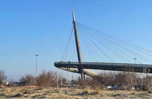 Le Ortensie in centro e vicino al mare - Foto 38