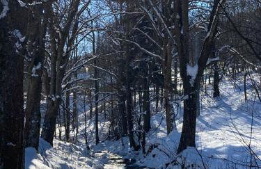 Domek nad potokiem - Foto 20