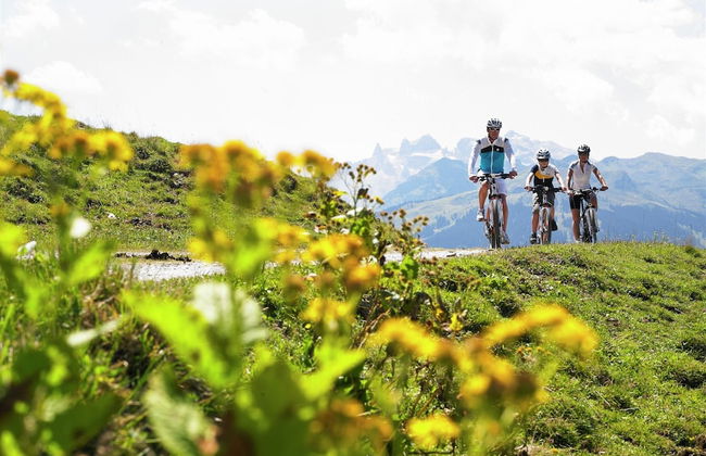 Apartment in St. Gallenkirch Near Ski Lift - Foto 26